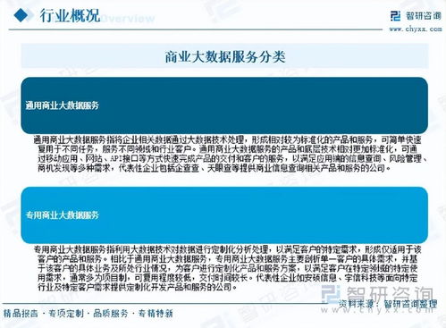 2026年中國商業大數據服務行業市場運行態勢分析與未來增長潛力展望